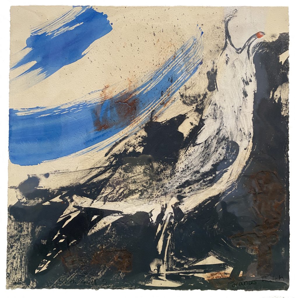 frances hatch EARTH GULL ARTIST PROOF 5