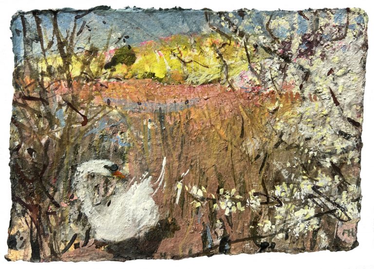 Frances Hatch Blackthorn Frost with Swan painting
