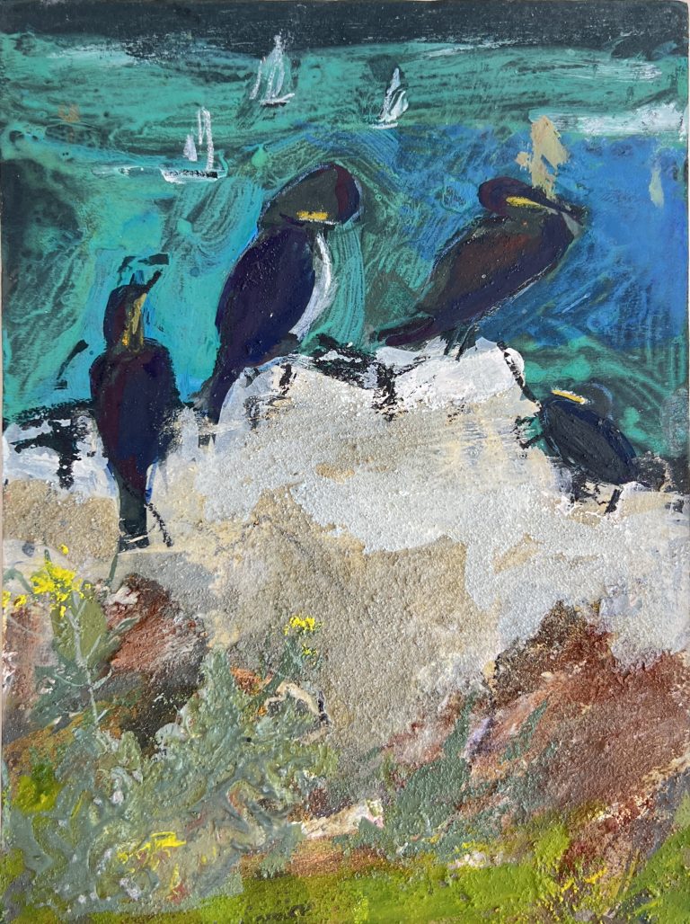 Cormorant sketch Frances Hatch