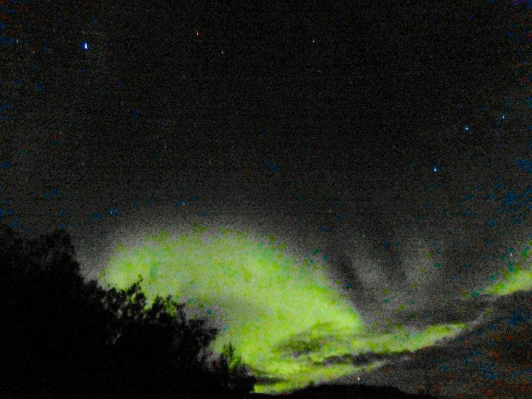 The Northern Lights over trees at Alta, Norway