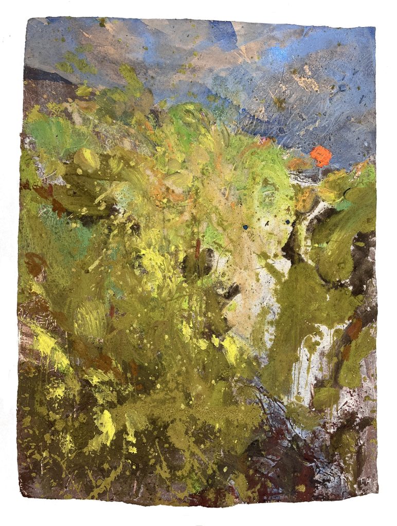 Tangerine Dream. Spring. Corfe Castle, Dorset